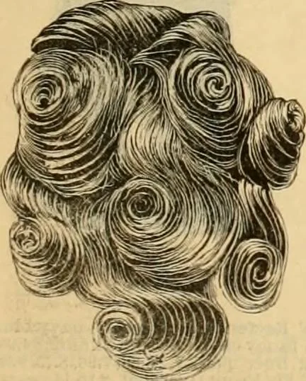An illustration from Fall and Winter, 1890-91 Fashion Catalogue / H. O'Neill and Co., 1890, leaf 110