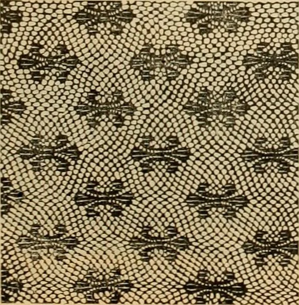 An illustration from Fall and Winter, 1890-91 Fashion Catalogue / H. O'Neill and Co., 1890, leaf 124
