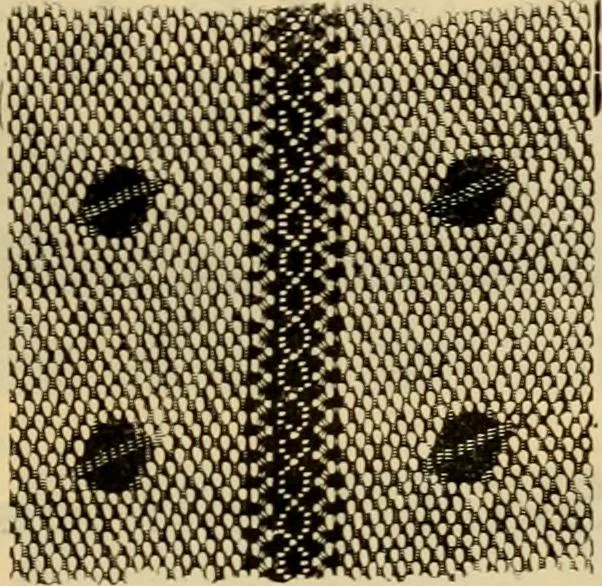 An illustration from Fall and Winter, 1890-91 Fashion Catalogue / H. O'Neill and Co., 1890, leaf 124