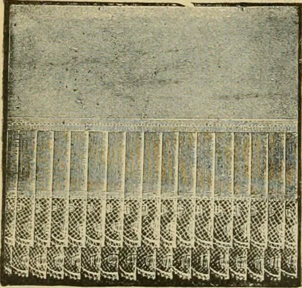 An illustration from Fall and Winter, 1890-91 Fashion Catalogue / H. O'Neill and Co., 1890, leaf 125