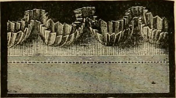 An illustration from Fall and Winter, 1890-91 Fashion Catalogue / H. O'Neill and Co., 1890, leaf 126