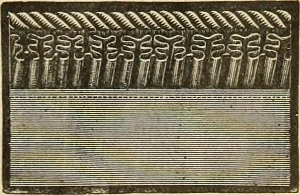 An illustration from Fall and Winter, 1890-91 Fashion Catalogue / H. O'Neill and Co., 1890, leaf 126