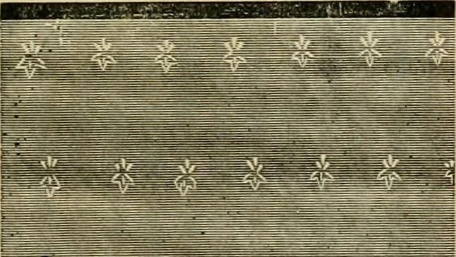 An illustration from Fall and Winter, 1890-91 Fashion Catalogue / H. O'Neill and Co., 1890, leaf 127