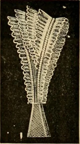 An illustration from Fall and Winter, 1890-91 Fashion Catalogue / H. O'Neill and Co., 1890, leaf 128