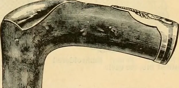 An illustration from Fall and Winter, 1890-91 Fashion Catalogue / H. O'Neill and Co., 1890, leaf 138