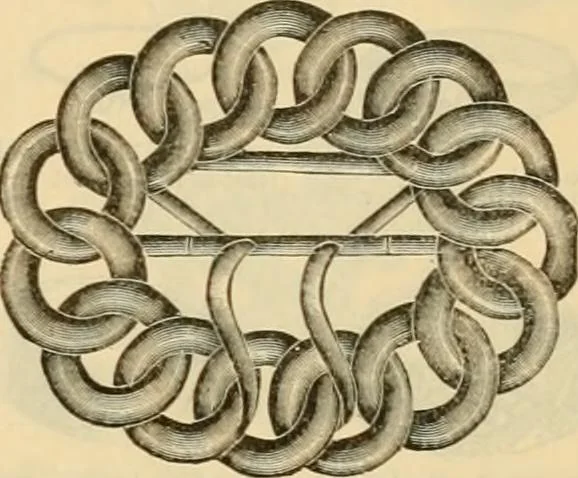 An illustration from Fall and Winter, 1890-91 Fashion Catalogue / H. O'Neill and Co., 1890, leaf 142