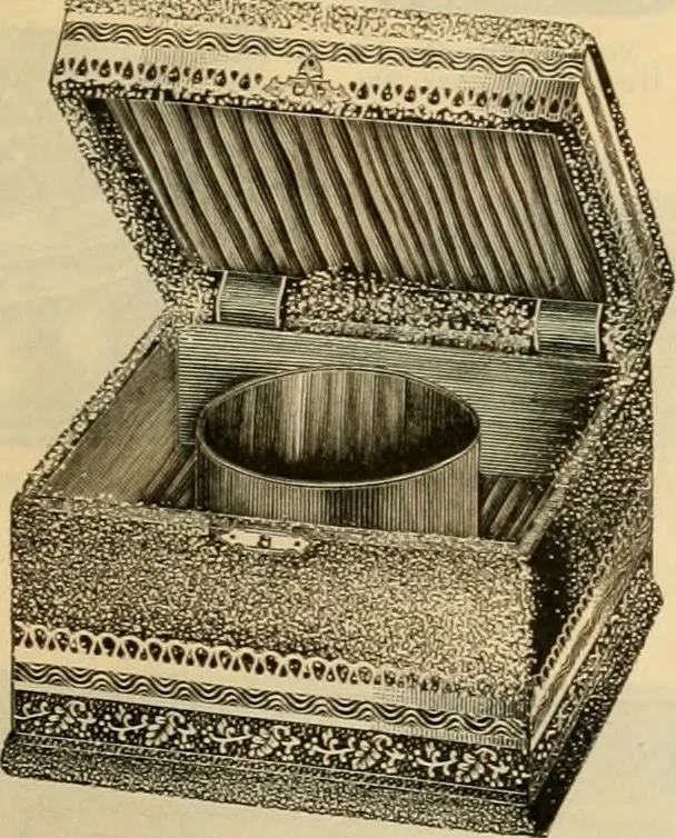 An illustration from Fall and Winter, 1890-91 Fashion Catalogue / H. O'Neill and Co., 1890, leaf 156
