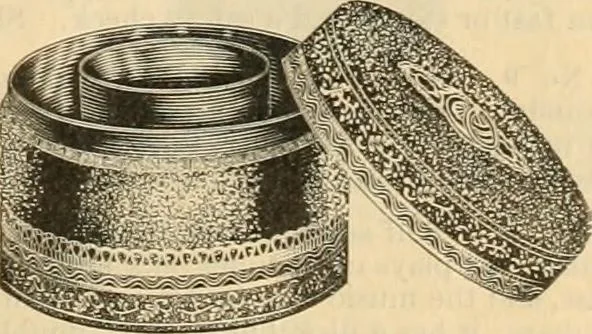 An illustration from Fall and Winter, 1890-91 Fashion Catalogue / H. O'Neill and Co., 1890, leaf 156