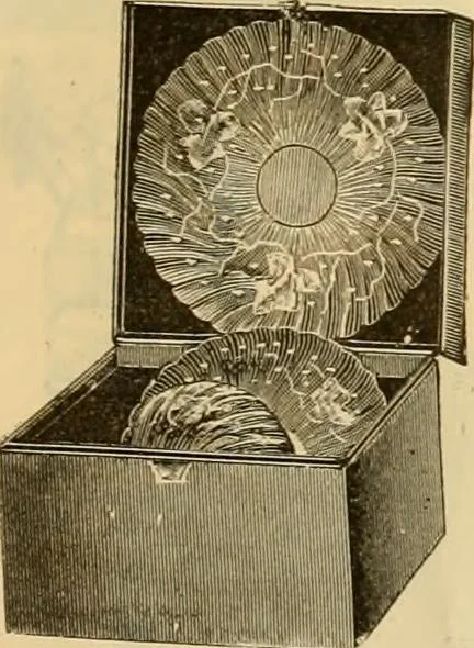 An illustration from Fall and Winter, 1890-91 Fashion Catalogue / H. O'Neill and Co., 1890, leaf 160