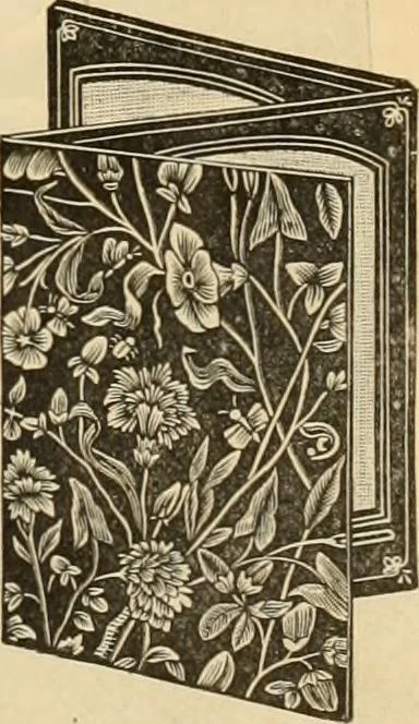 An illustration from Fall and Winter, 1890-91 Fashion Catalogue / H. O'Neill and Co., 1890, leaf 170