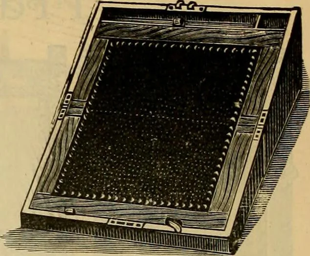 An illustration from Fall and Winter, 1890-91 Fashion Catalogue / H. O'Neill and Co., 1890, leaf 171