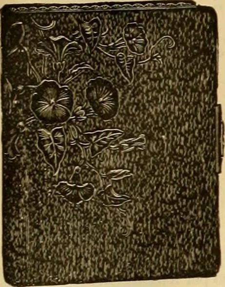 An illustration from Fall and Winter, 1890-91 Fashion Catalogue / H. O'Neill and Co., 1890, leaf 172