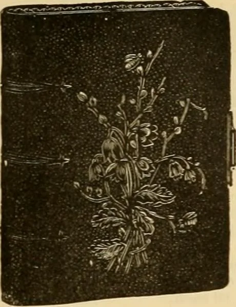 An illustration from Fall and Winter, 1890-91 Fashion Catalogue / H. O'Neill and Co., 1890, leaf 172