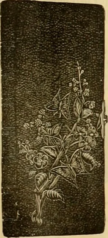 An illustration from Fall and Winter, 1890-91 Fashion Catalogue / H. O'Neill and Co., 1890, leaf 172