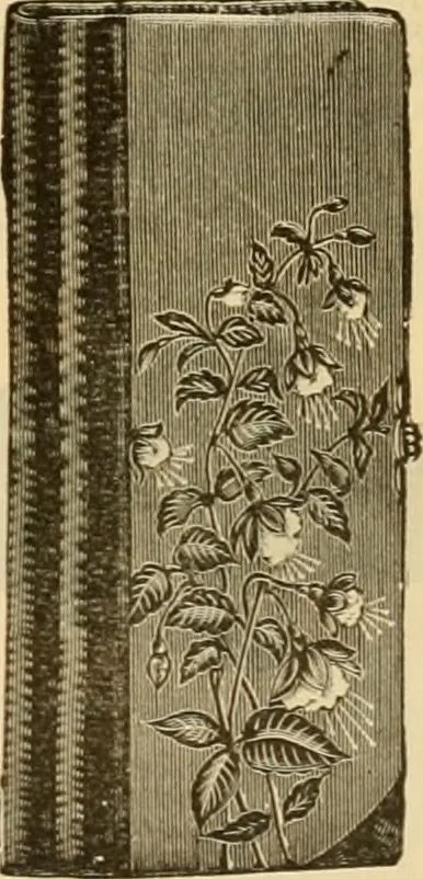 An illustration from Fall and Winter, 1890-91 Fashion Catalogue / H. O'Neill and Co., 1890, leaf 172
