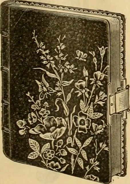 An illustration from Fall and Winter, 1890-91 Fashion Catalogue / H. O'Neill and Co., 1890, leaf 172
