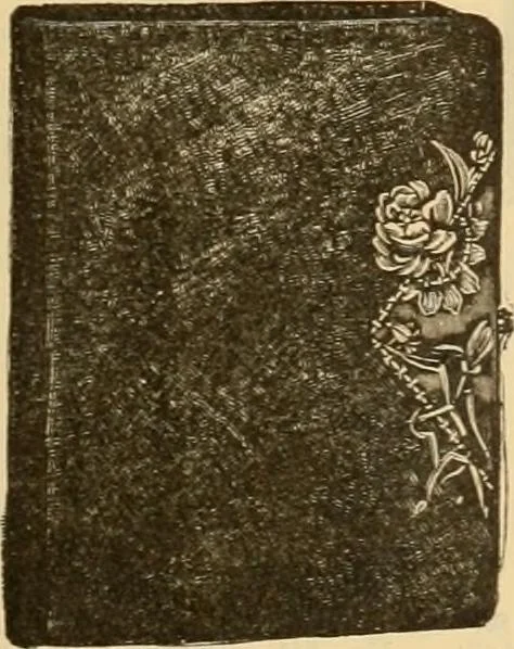 An illustration from Fall and Winter, 1890-91 Fashion Catalogue / H. O'Neill and Co., 1890, leaf 172