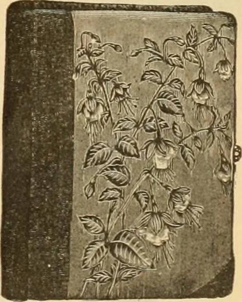 An illustration from Fall and Winter, 1890-91 Fashion Catalogue / H. O'Neill and Co., 1890, leaf 172