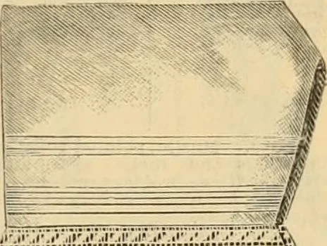 An illustration from Fall and Winter, 1890-91 Fashion Catalogue / H. O'Neill and Co., 1890, leaf 24