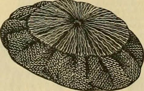 An illustration from Fall and Winter, 1890-91 Fashion Catalogue / H. O'Neill and Co., 1890, leaf 51