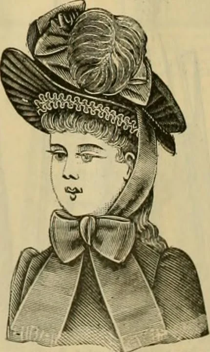 An illustration from Fall and Winter, 1890-91 Fashion Catalogue / H. O'Neill and Co., 1890, leaf 51