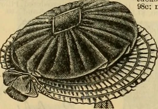 An illustration from Fall and Winter, 1890-91 Fashion Catalogue / H. O'Neill and Co., 1890, leaf 52