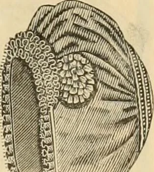 An illustration from Fall and Winter, 1890-91 Fashion Catalogue / H. O'Neill and Co., 1890, leaf 52