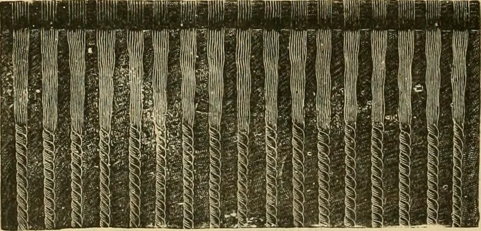 An illustration from Fall and Winter, 1890-91 Fashion Catalogue / H. O'Neill and Co., 1890, leaf 59