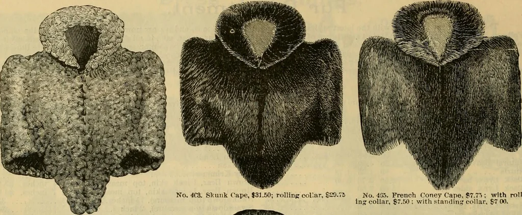 An illustration from Fall and Winter, 1890-91 Fashion Catalogue / H. O'Neill and Co., 1890, leaf 61