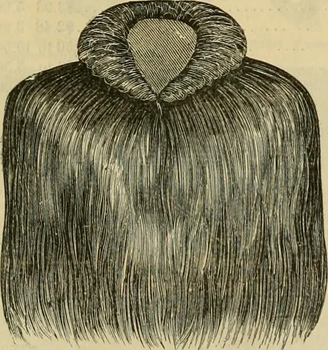 An illustration from Fall and Winter, 1890-91 Fashion Catalogue / H. O'Neill and Co., 1890, leaf 61