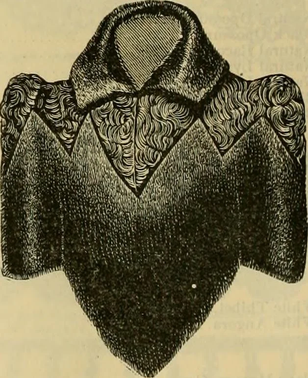 An illustration from Fall and Winter, 1890-91 Fashion Catalogue / H. O'Neill and Co., 1890, leaf 61