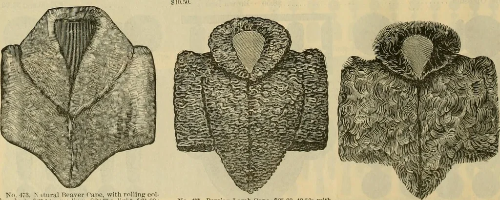 An illustration from Fall and Winter, 1890-91 Fashion Catalogue / H. O'Neill and Co., 1890, leaf 61