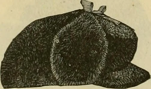 An illustration from Fall and Winter, 1890-91 Fashion Catalogue / H. O'Neill and Co., 1890, leaf 63