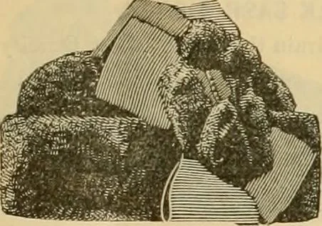 An illustration from Fall and Winter, 1890-91 Fashion Catalogue / H. O'Neill and Co., 1890, leaf 64