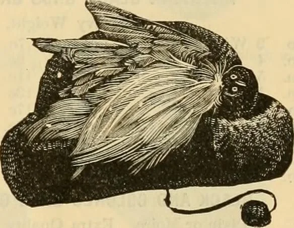 An illustration from Fall and Winter, 1890-91 Fashion Catalogue / H. O'Neill and Co., 1890, leaf 64