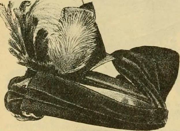 An illustration from Fall and Winter, 1890-91 Fashion Catalogue / H. O'Neill and Co., 1890, leaf 69