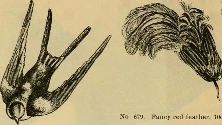 An illustration from Fall and Winter, 1890-91 Fashion Catalogue / H. O'Neill and Co., 1890, leaf 71