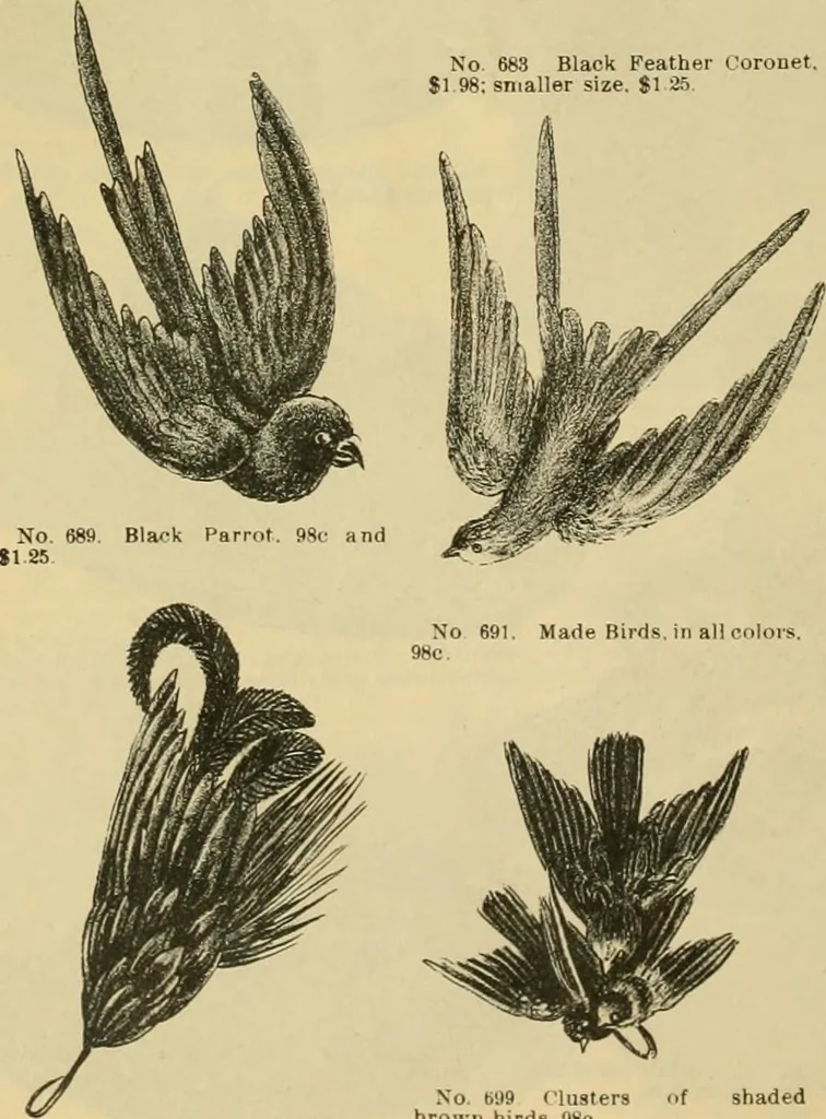 An illustration from Fall and Winter, 1890-91 Fashion Catalogue / H. O'Neill and Co., 1890, leaf 71