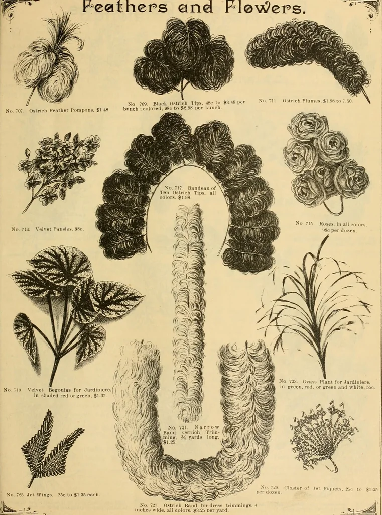 An illustration from Fall and Winter, 1890-91 Fashion Catalogue / H. O'Neill and Co., 1890, leaf 72