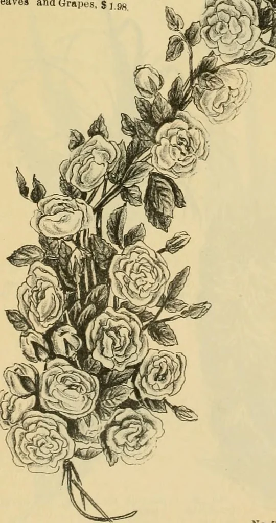 An illustration from Fall and Winter, 1890-91 Fashion Catalogue / H. O'Neill and Co., 1890, leaf 73