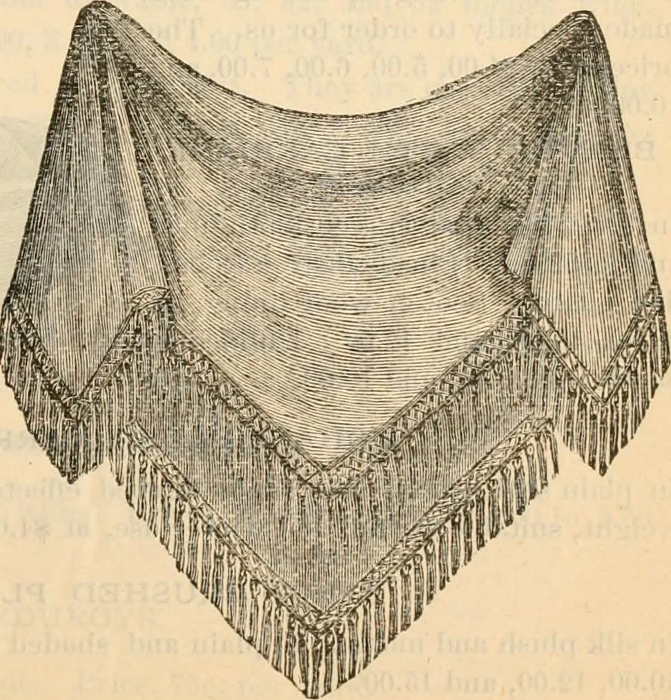 An illustration from Fall and winter 1895-6 price list for daily reference., 1895, leaf 105