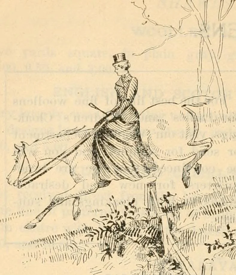An illustration from Fall and winter 1895-6 price list for daily reference., 1895, leaf 108