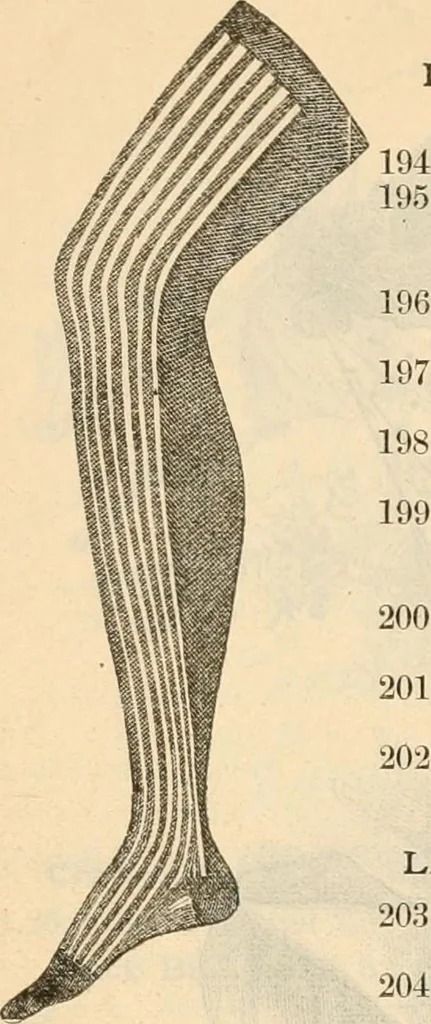 An illustration from Fall and winter 1895-6 price list for daily reference., 1895, leaf 110