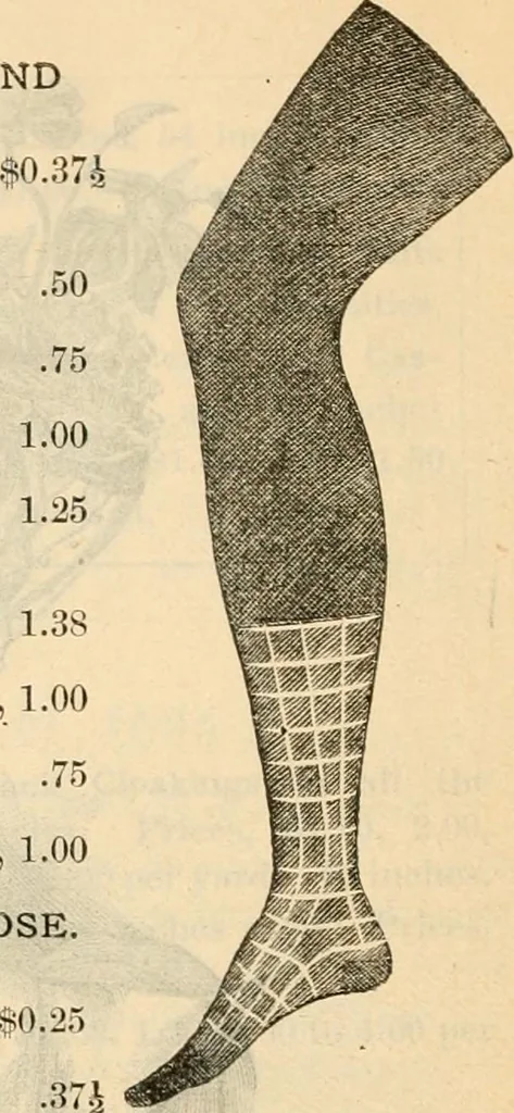 An illustration from Fall and winter 1895-6 price list for daily reference., 1895, leaf 110
