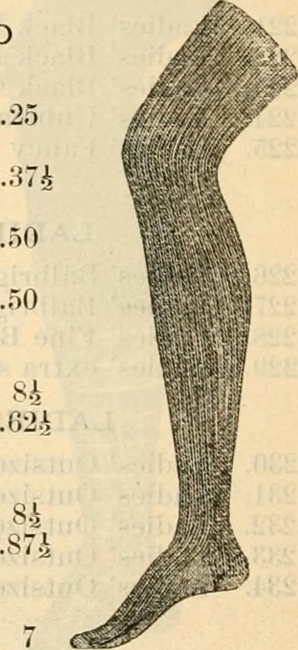An illustration from Fall and winter 1895-6 price list for daily reference., 1895, leaf 112