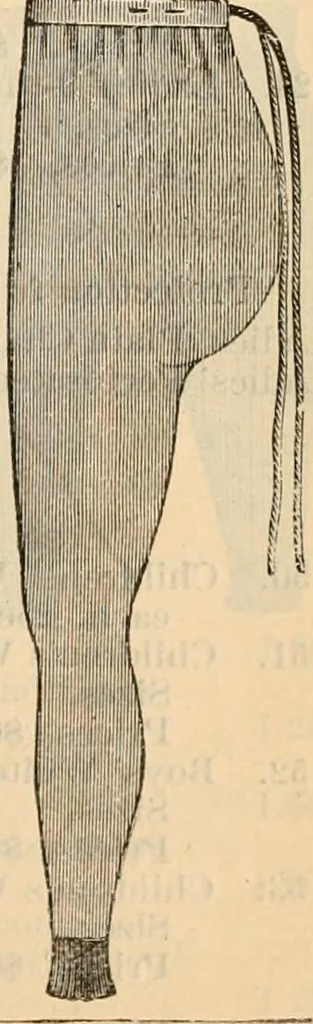 An illustration from Fall and winter 1895-6 price list for daily reference., 1895, leaf 115