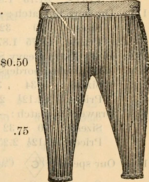An illustration from Fall and winter 1895-6 price list for daily reference., 1895, leaf 117