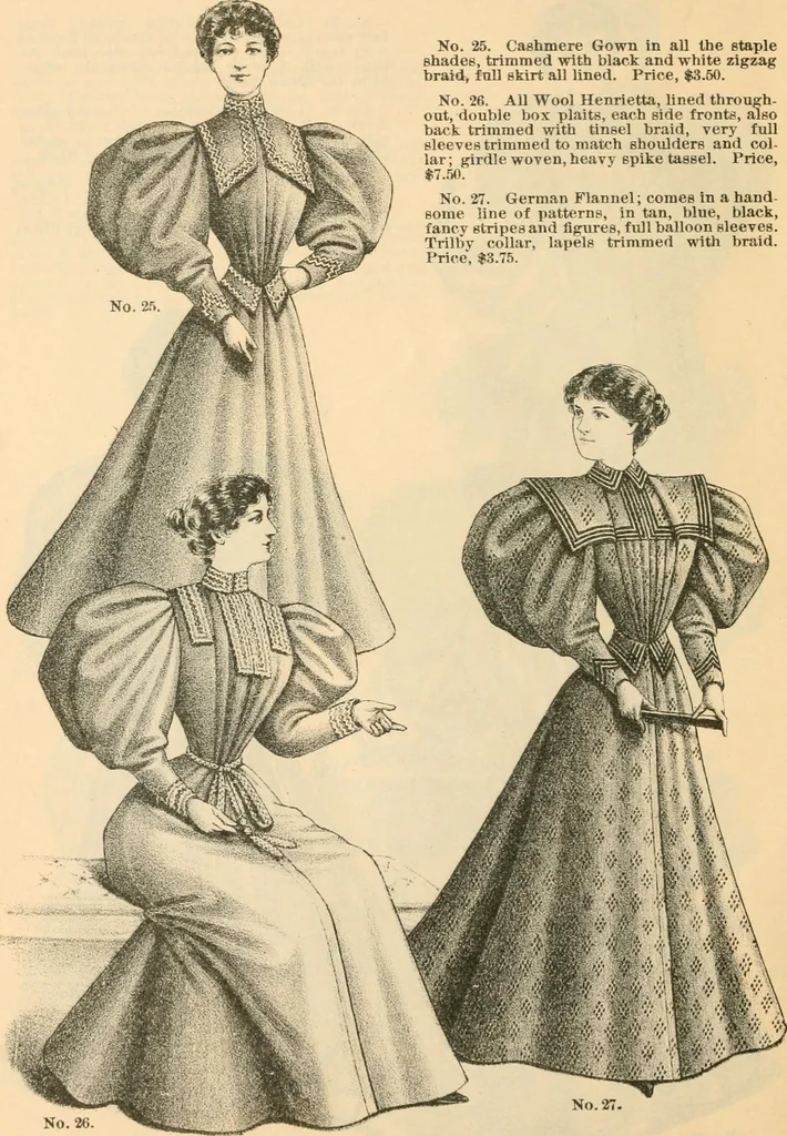 An illustration from Fall and winter 1895-6 price list for daily reference., 1895, leaf 12