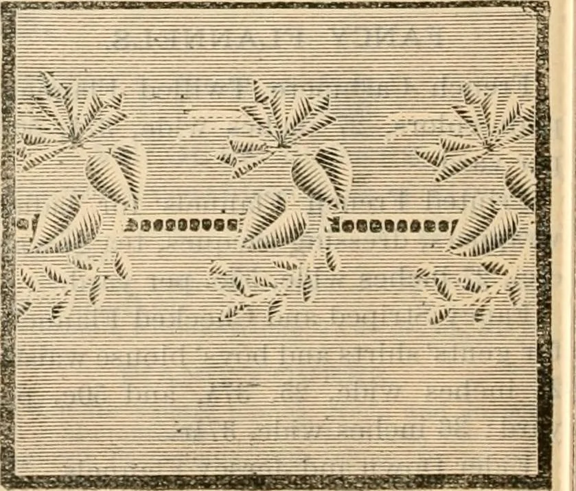 An illustration from Fall and winter 1895-6 price list for daily reference., 1895, leaf 134