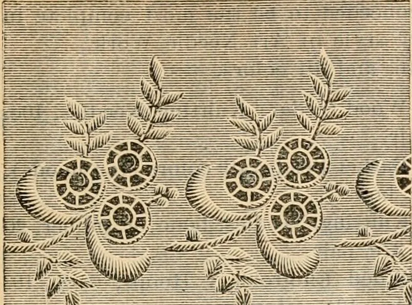 An illustration from Fall and winter 1895-6 price list for daily reference., 1895, leaf 135